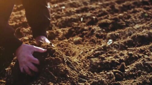 🌱 Rallis India (a Tata enterprise) launches NuCode™, a new brand of advanced biological solutions for soil &amp; plant health.

“Where Science Nurtures Soil, and Soil Nurtures Life.”

Learn more 👉 ow.ly/IWJ750XqMWh

#AgInnovation #Biologicals #Sustainability #RallisIndia