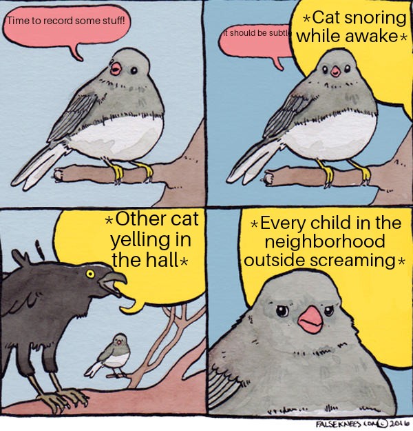 Ariel Merritt 🔜 GDC tweet media