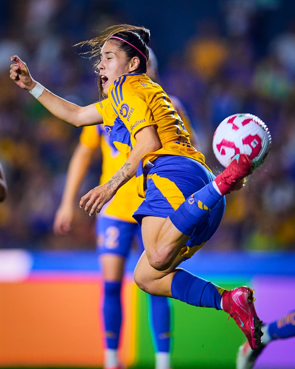 TigresFemenil's tweet photo. 🦐✨ ¡El 'Camaroncín' de @lizbethovalle7 nominado al Premio Marta de la @FIFAWWC! 🤯

¡Voten, Incomparables! 👇
https://t.co/2MUwt2w8Zh https://t.co/k34stR0NHg