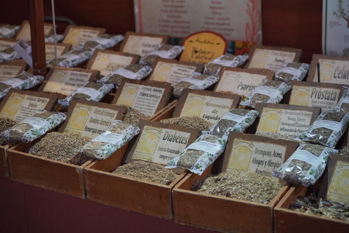 Dijous Bo 2025 tweet media