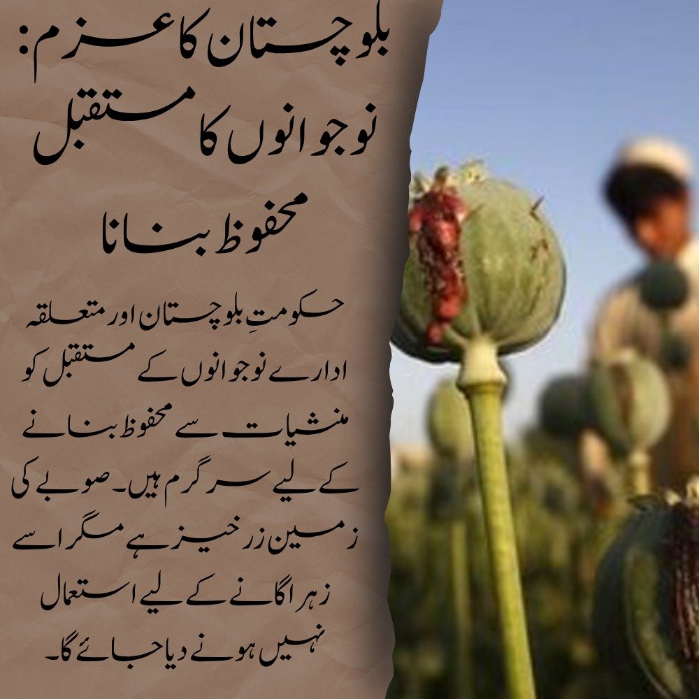 balachbaloch001's tweet image. بلوچستان کا عزم نوجوانوں کا مستقبل محفوظ بنانا :
حکومت بلوچستان اور متعلقہ ادارے نوجوانوں کے مستقبل کو منشیات سے محفوظ بنانے کے لیے سرگرم ہیں۔ صوبے کی زمین زرخیز ہے مگر اسے زہر اگانے کے لیے استعمال نہیں ہونے دیا جائے گا۔
#DrugFreeBalochistan
#DevelopmentForPeace
#SafeFuture