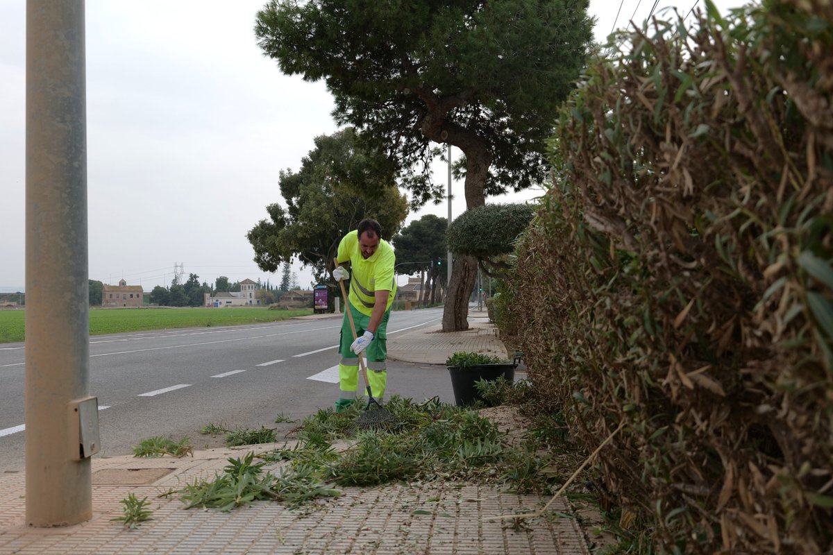 Jardines de Cartagena tweet media