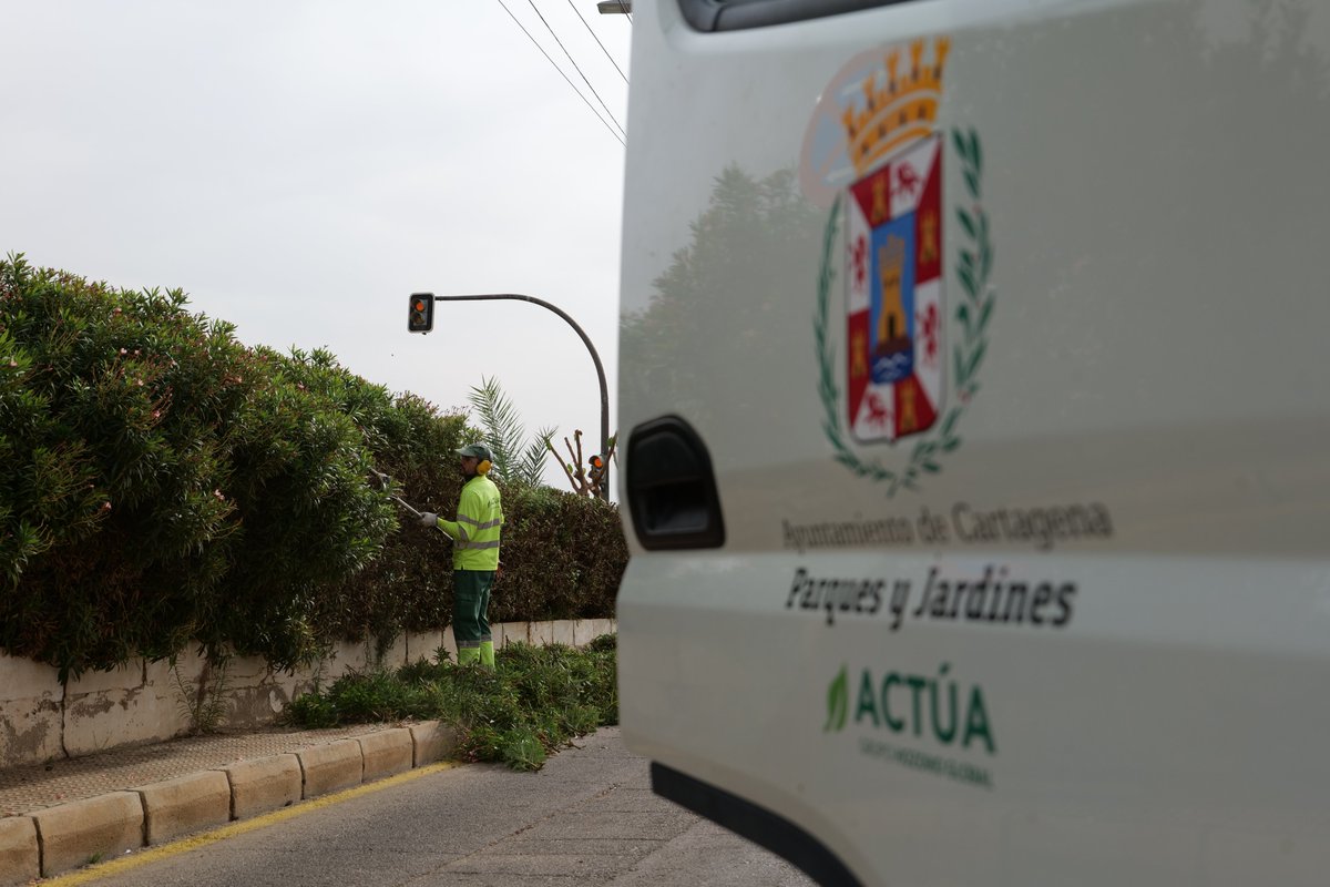 Jardines de Cartagena tweet media