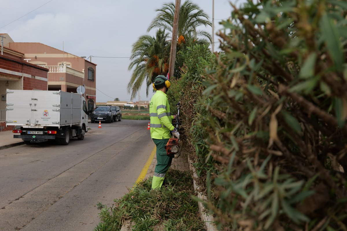 Jardines de Cartagena tweet media