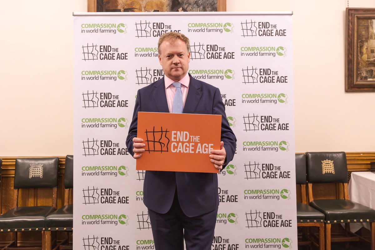 Compassion in World Farming UK tweet media