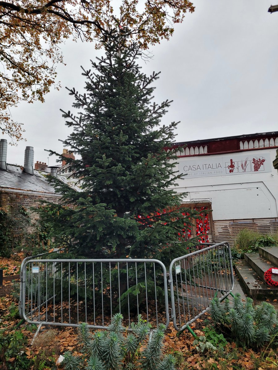 LillianKLogan1's tweet image. Christmas Tree next to Didsbury Library, Didsbury villlage  in place for lights switch on this evening. 

#Christmas #ChristmasTree #Didsbury #Manchester.