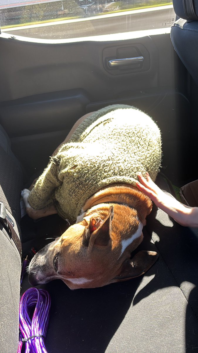 GA bros 🛻

Dog to the dispo