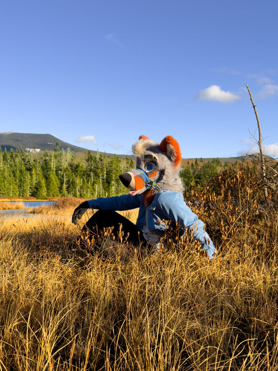 PartDoggo's tweet image. I&apos;m just little tired that&apos;s all