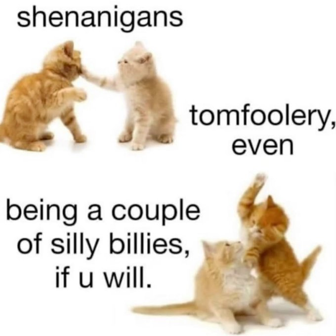 <a href="/OkamiraVT/">Okamira🌸🕊️ ꒰১ VAngeli ໒꒱ 🌟</a> this is inevitably us at some point in every collab