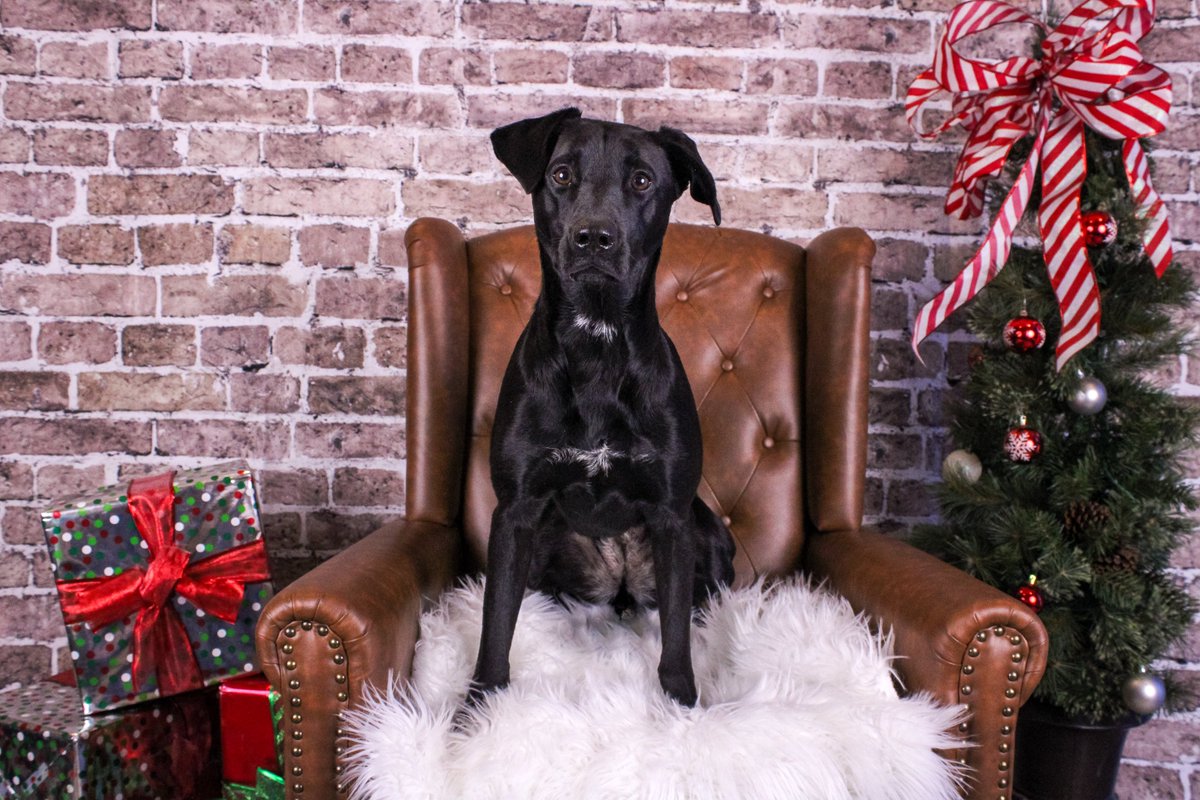 Joey Cozza tweet media