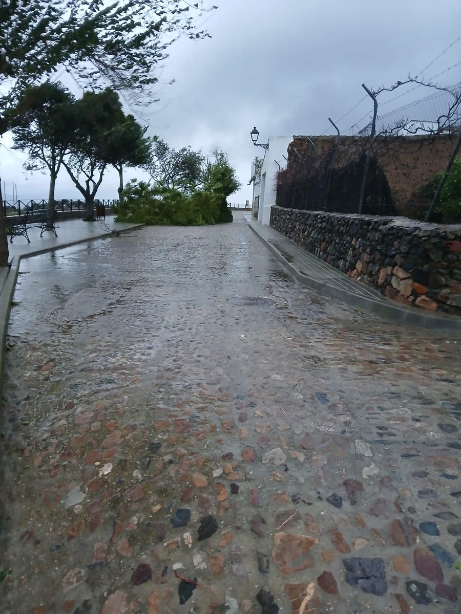 meeeeery♡ tweet media