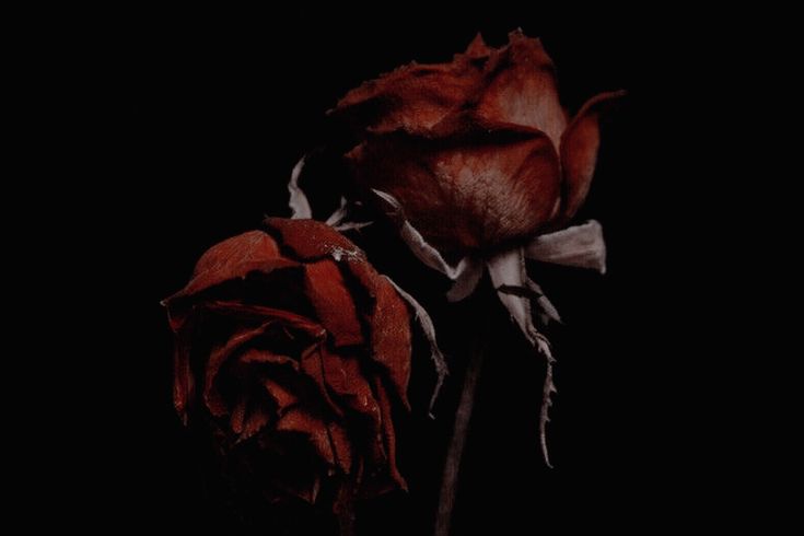 mxnstercreator's tweet photo. ㅤ
ㅤㅤ
  𝕾𝕰  𝕭𝖀𝕾𝕮𝕬
┉━━━━━━━━┉
❦ 𝕳enry Clerval
❦ semi oc
❦ primo de Víctor y
❦ único amigo que ha tenido
❦ otp con mucha toxicidad y drama

MD si te interesa / RT para difundir https://t.co/TJ0QZwUkDr