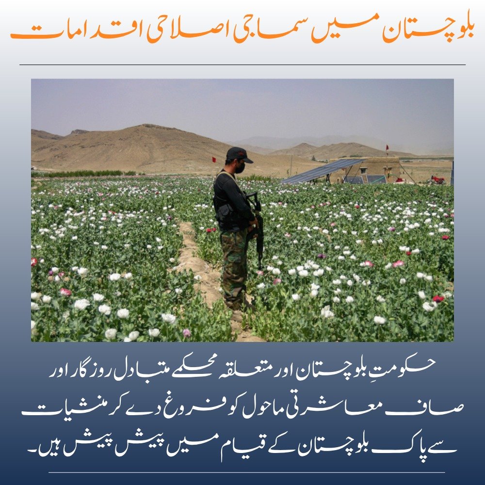 balachbaloch001's tweet image. بلوچستان میں سماجی اصلاحی اقدامات
حکومت بلوچستان اور متعلقہ محکمے متبادل روزگار اور صاف معاشرتی ماحول کو فروغ دے کر منشیات سے پاک بلوچستان کے قیام میں پیش پیش ہیں۔
#DrugFreeBalochistan
#DevelopmentForPeace
#SafeFuture