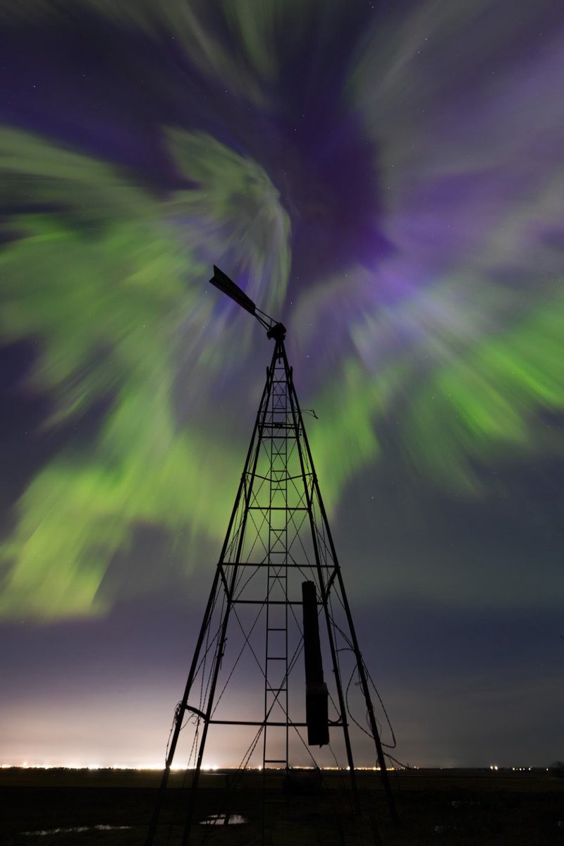 Skstormchaser's tweet image. The tree,  The Phoenix and The cardinal.  #aurora #sask