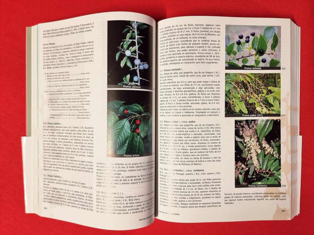 Asociación Ridimoas tweet media