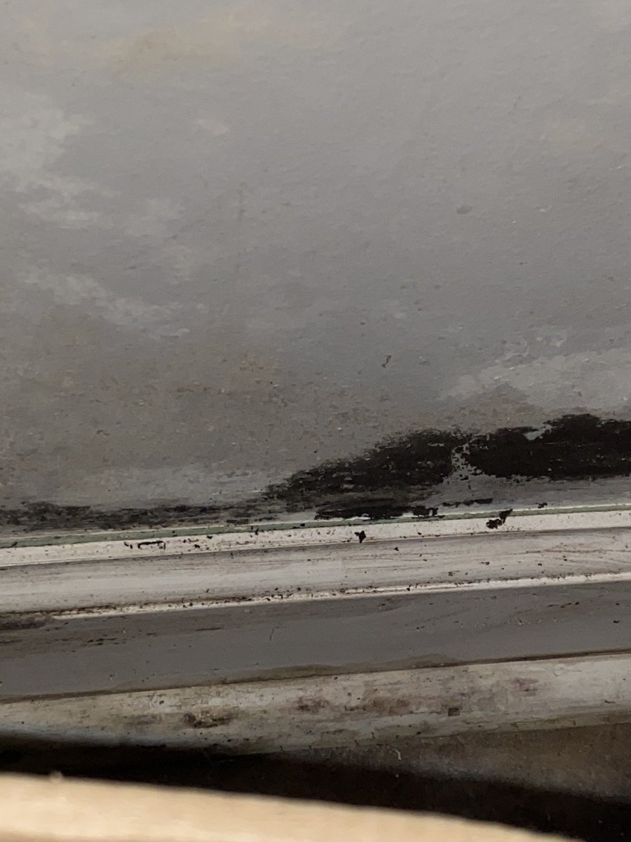 RealNerdyKai's tweet image. We might've found ourselves a new place that's open, but we gotta wait until January to move in. Don't have enough to break the lease and leave now. Our landlord also refused to hire a professional to pull apart the wall (for mold) and now we have some in the studio closet😕