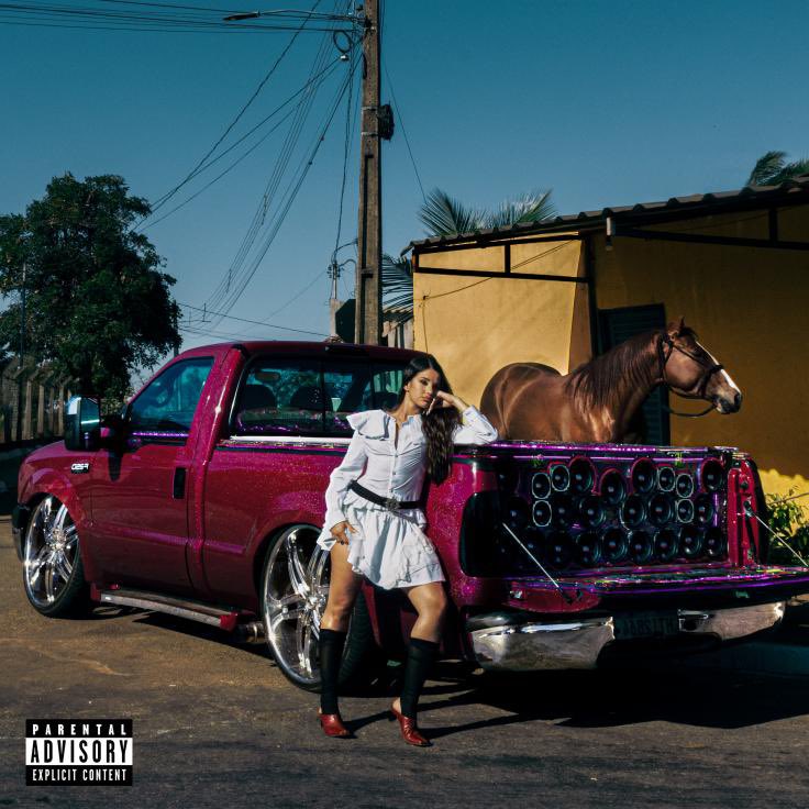 Bianca Costa fala da participação de Omar Rudberg na música BEBEZINHO, faixa de seu novo álbum “Gringa”.

“Conheci Omar na Suécia, onde gravei várias faixas. Ele adorou a música. E ele também conhece muito bem essa sensação de ser estrangeiro, de ter uma cultura dupla. Acho que