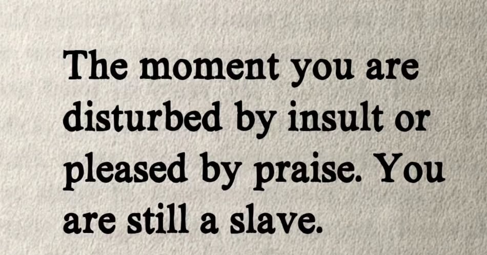 frankbrian5's tweet image. #mindset #MotivationalQuotes