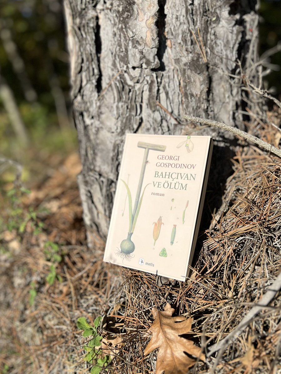 Popüler kitapları üzerinden zaman geçtikten sonra okumayı tercih ederim. Ama buna dayanamadım. 
Ve gerçek şu ki çok beğendim ✔️