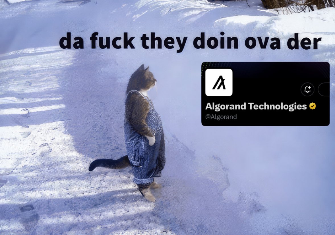 For the sake of the chain can we not come to some type of agreement on utilizing the <a href="/Algorand/">Algorand Technologies</a> handle?!

Even if they just repost <a href="/AlgoFoundation/">Algorand Foundation</a> or post once a month is better than nothing please I'm literally begging you!