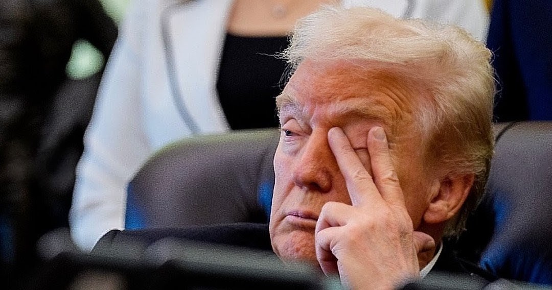 kingwolfe96's tweet image. Wtf is wrong with the President in the picture?

He looks absolutely terrible!

#Trump #TrumpHealth #Health #Dementia #DementiaDon #25thAmendmentNow