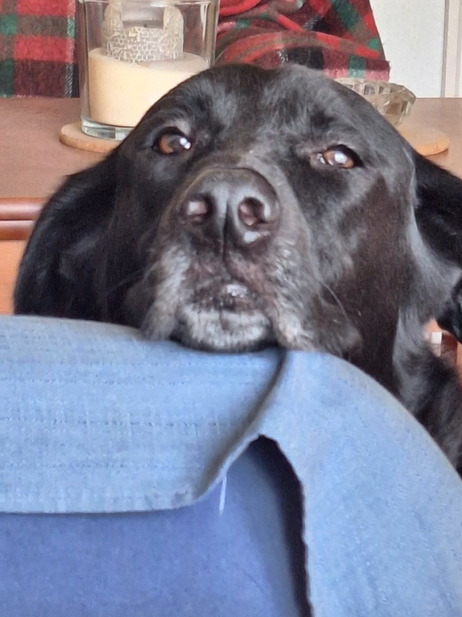 Sólo Elena tweet media