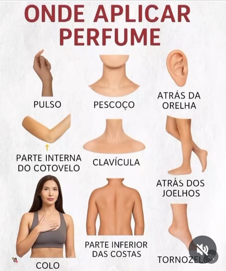 Prof. Paullo tweet media
