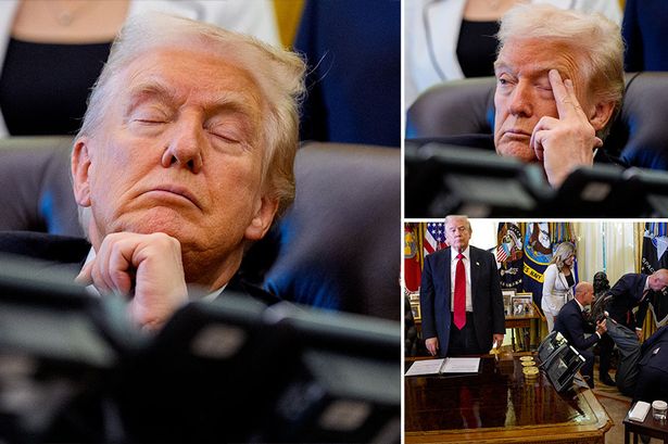kingwolfe96's tweet image. Remember Sleepy Joe?

Well, let me introduce you to:
Dozing Donnie 😴💤 

#Trump #TrumpHealth #Health #Dementia #DementiaDon #25thAmendmentNow #SleepyJoe #DozingDonnie #Sleeping