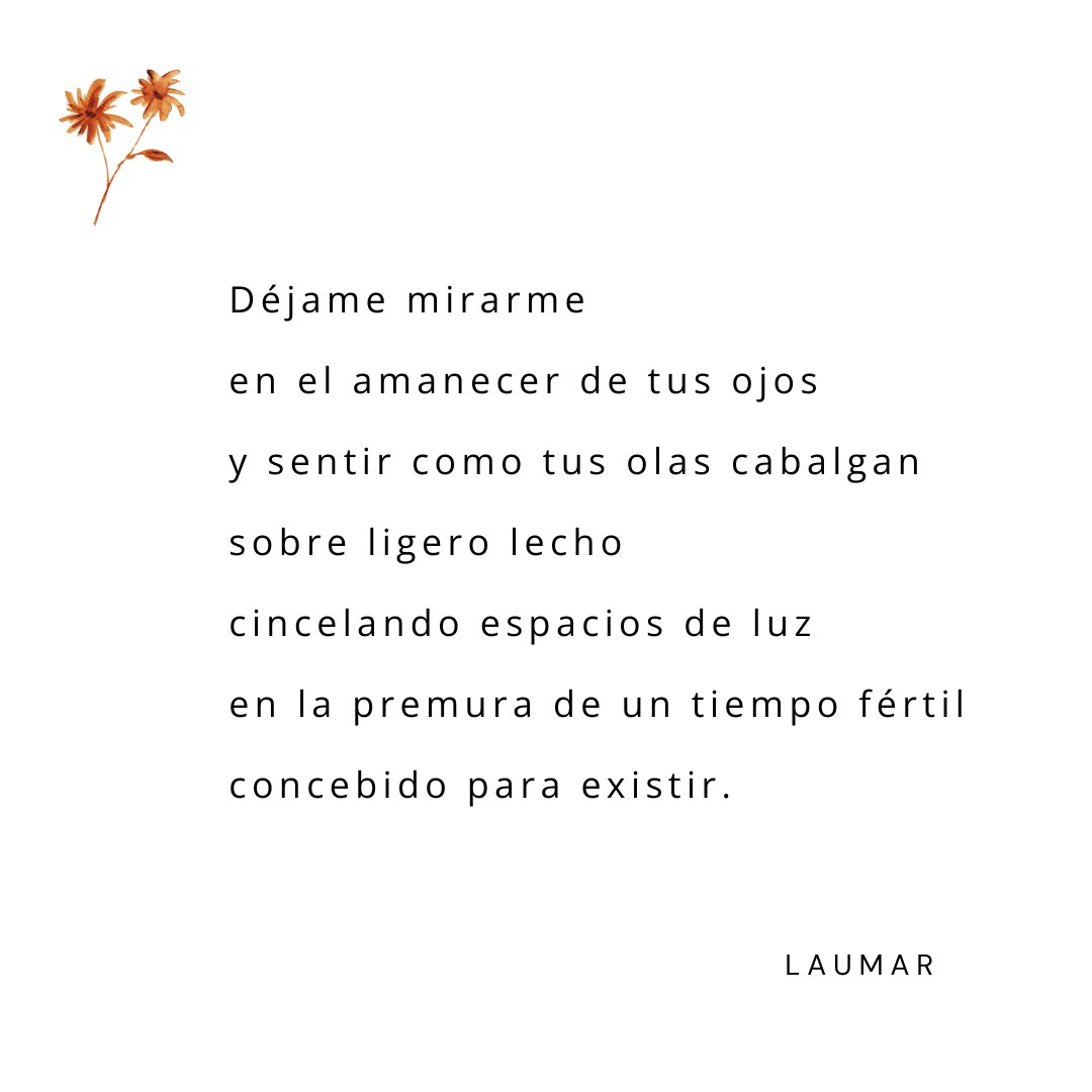 laumar_ego's tweet photo. #poesía #accionpoetica #sutilezas https://t.co/S6Xgm9fkmT