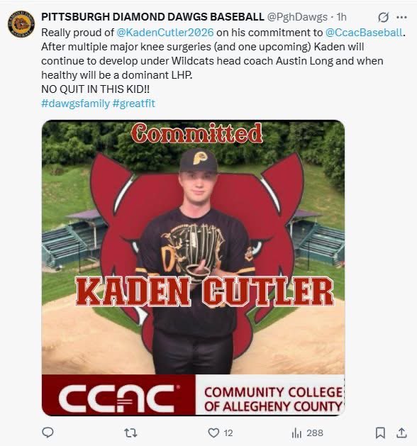 CCAC BASEBALL tweet media