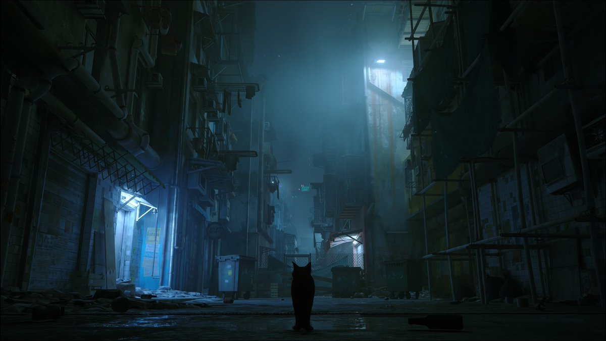 C0deVeronica's tweet image. #Stray