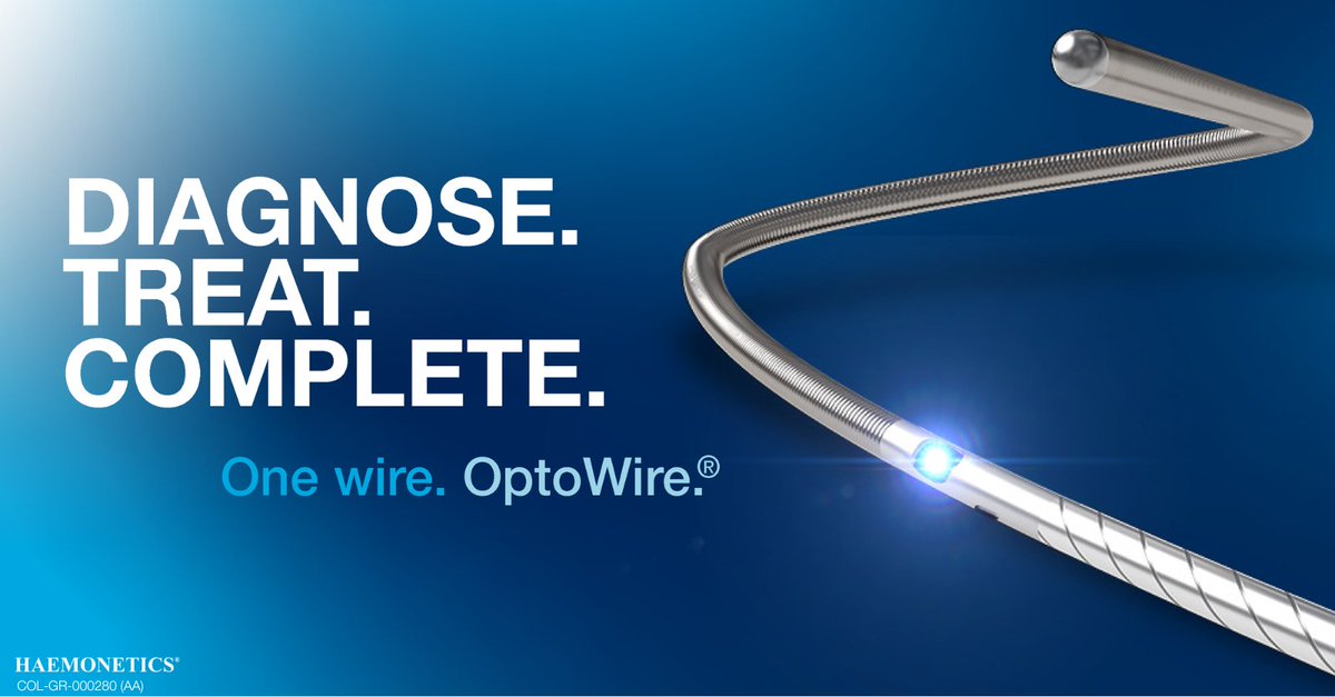 HaemoneticsIT's tweet image. Diagnose. Treat. Complete. Do it all with one wire — #OptoWire. Streamline your PCI with no wire exchange and no re-equalizing. 

Learn more: bit.ly/3JWNa5z

#OneWire #OneWirePCI #OneWireGuarantee