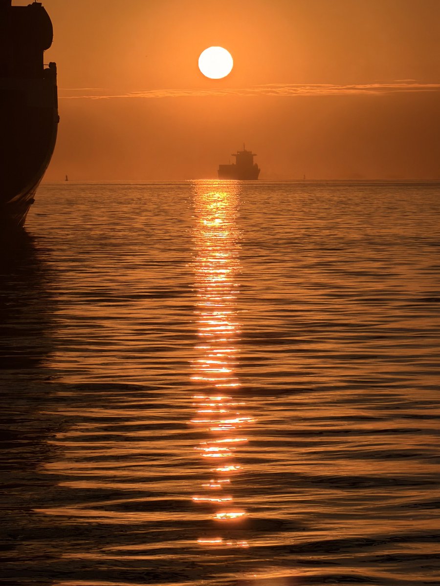 Udon (@loveeatingudon) on Twitter photo 