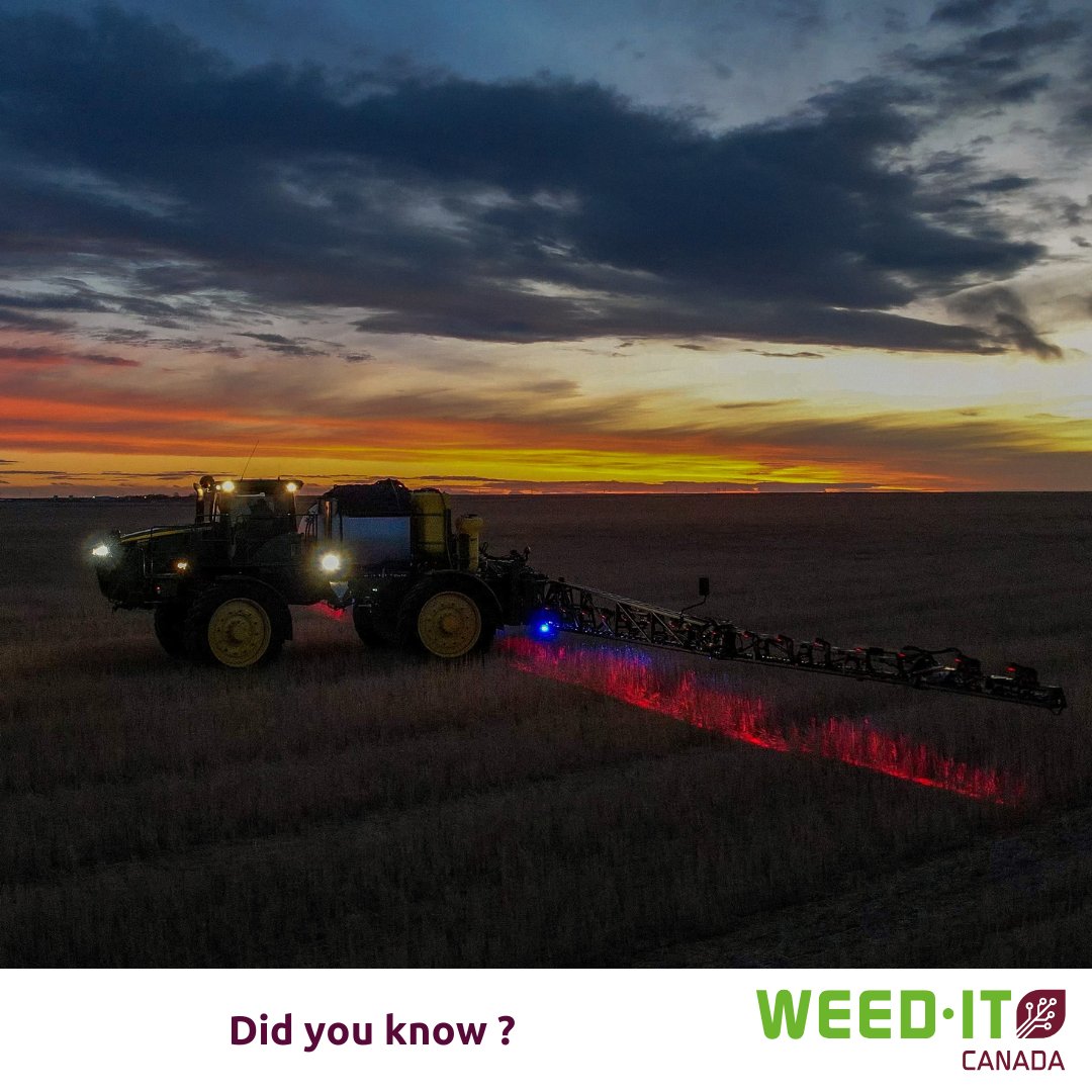 Weed_iT_Can's tweet image. Did you  know? 
Camera sprayers rely on light &amp;amp; color 🌤️
WEED-IT detects differently 🌱
Its sensors detect chlorophyll, not shape or color; for reliable weed detection in any condition-any time of day-or night.
#WeedIT #PrecisionAg #SmartSpraying