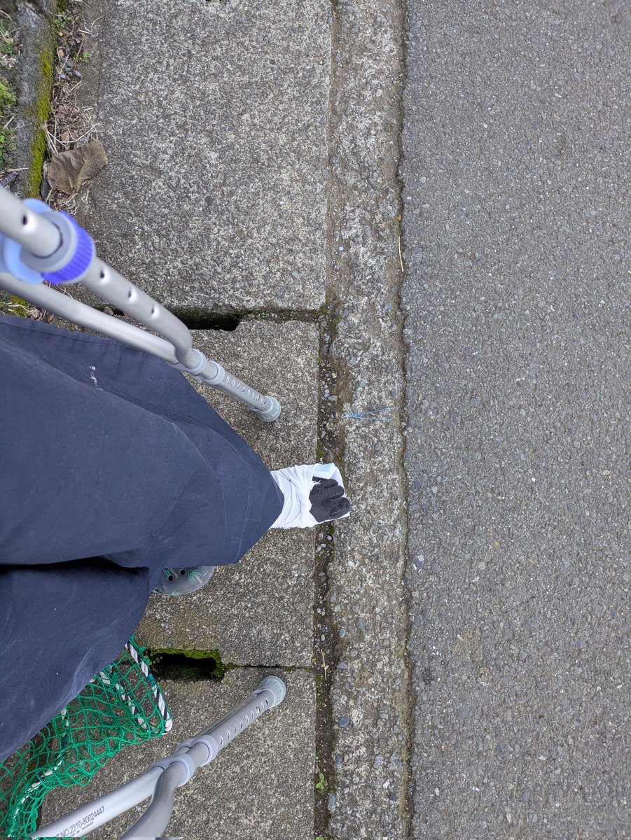 kamakura tweet media