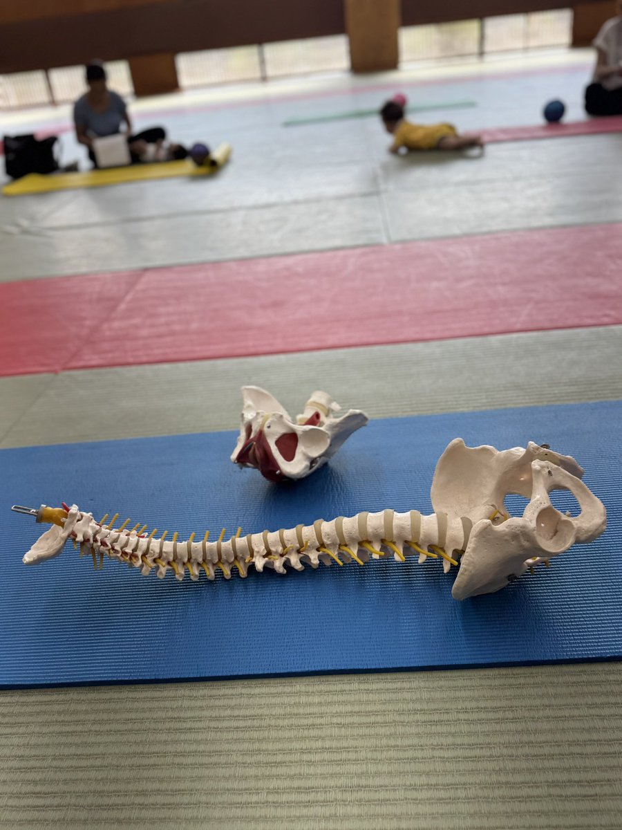 lecocon2's tweet image. 🎯毎日飽きずに楽しく続けられる！骨盤底筋トレーニング

【寝ながらタオル引き寄せ】

仰向けに寝て、膝を立て、両足裏でタオルをギュッとたぐり寄せる

•かかと→骨盤→骨盤底筋まで連動
•寝ながらできて夜のリラックスにも◎

mavie-mavie.com

#寝屋川市民体育館
#産後太り
#骨盤底筋