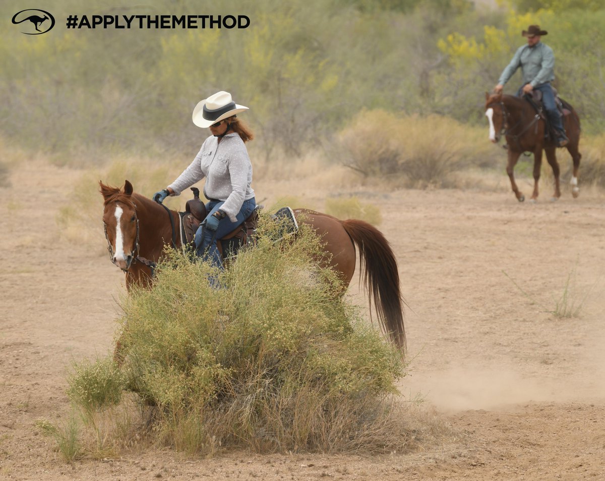 DownunderHorse's tweet image. Q: My horse rides great on the trail when it’s just me and him, but when I try to ride with other people, it’s a wreck. He gets super nervous, and at times, I feel like I can barely control him. What can I do?
downunderhorsemanship.com/training-tip-h… #ApplyTheMethod