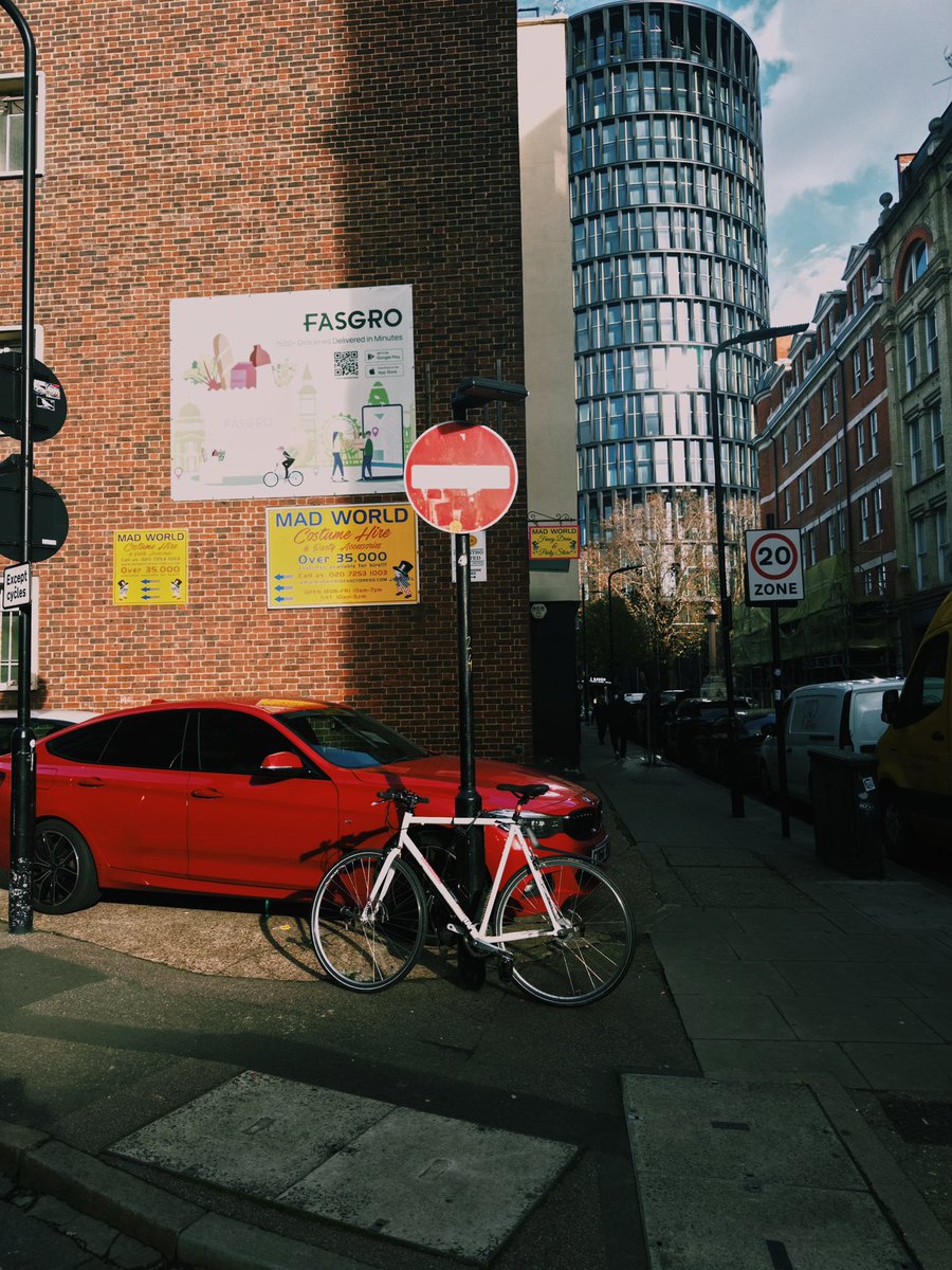 sophia carey tweet media