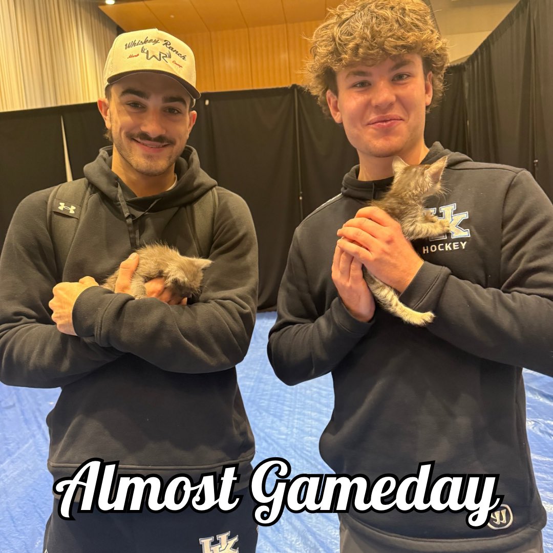 IT’S FINALLY ALMOST GAMEDAY!🤑