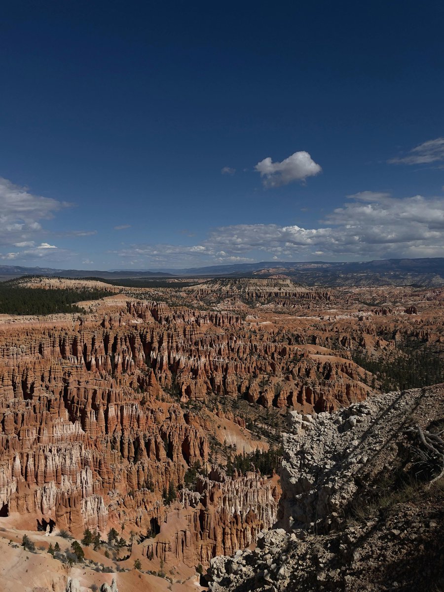 $LMT $450.50 Lockheed F-35 delays resistance cap. 🌐 🔥 🎉