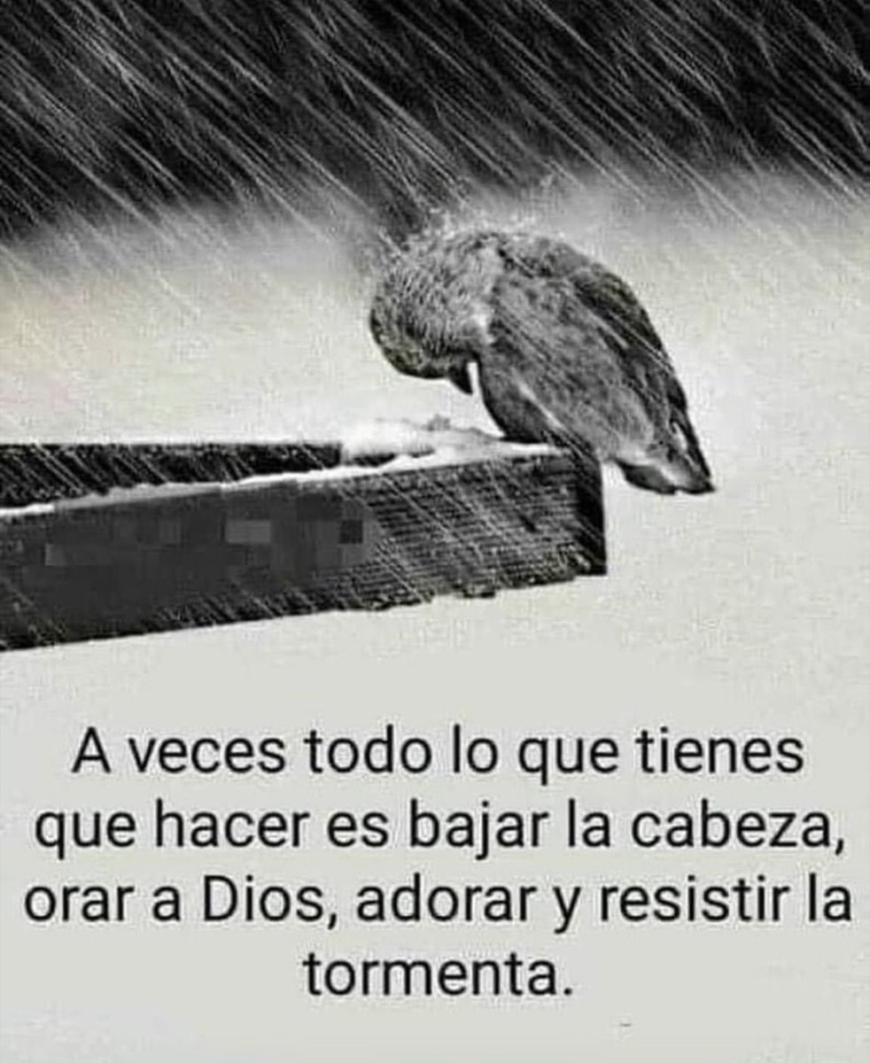 LydiaPrez14's tweet image. Amén ❤️ 

Bendecida noche llena de paz,  esperanza, fe y amor ✨️