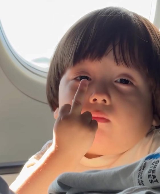 ۗIce Fury tweet media