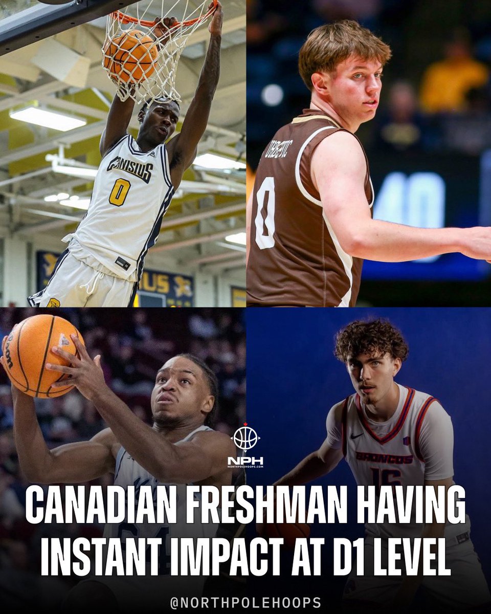 Who said HS kids can't impact right away?

Spencer Ahrens, Boise State: 14.7ppg, 5.3rpg, 50%FG, 44%3PT <a href="/spencerahrens1/">Spencer Ahrens</a> 

Andrew Urosevic, Lehigh: 13ppg, 57%FG, 50%3PT <a href="/Andrew_Urosevic/">Andrew Urosevic</a> 

Chris Kumu, Canisius: 11.5ppg, 2.3rpg, 54%FG <a href="/chriskumu0/">Christopher kumu</a> 

Bashir Ngalang, Maine: 8ppg,