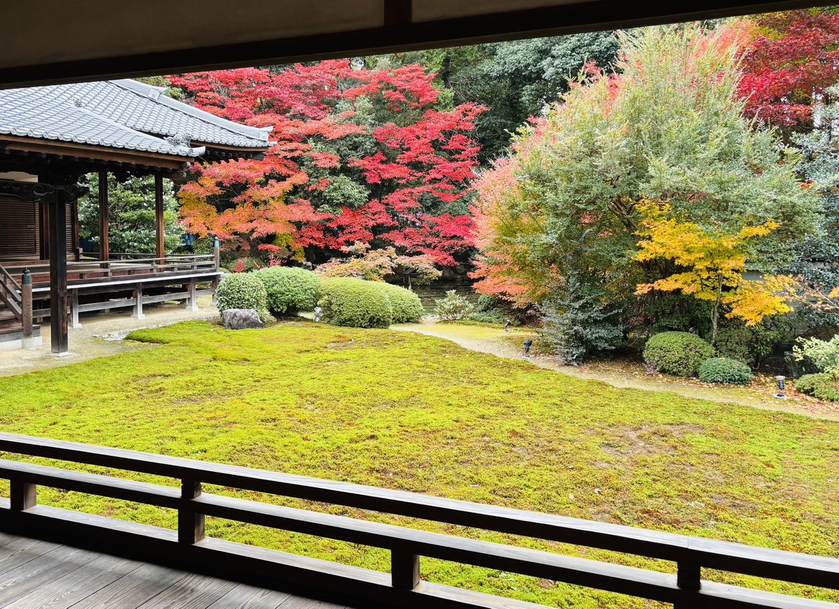 justonestep2025's tweet image. Every word we speak returns to our own heart first.
Words that hurt, hurt us.
Words that heal, heal us.
May we choose kindness — for others, and for ourselves🌿

#KindnessMatters #ChooseKindness #VisitKyoto 
#DignityForAll #Gratitude