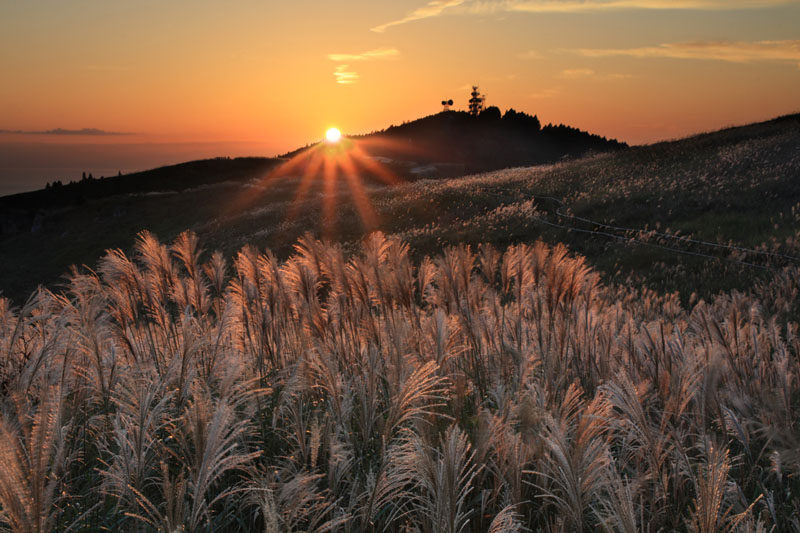 sanshisuimei (@sanshisuimei2) / Posts / X