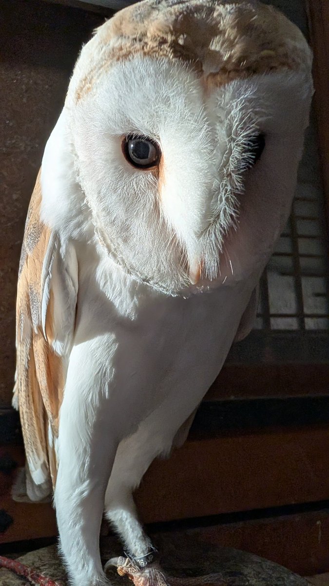 けこ (@UfEutXinpDk3zq2) / Posts / X