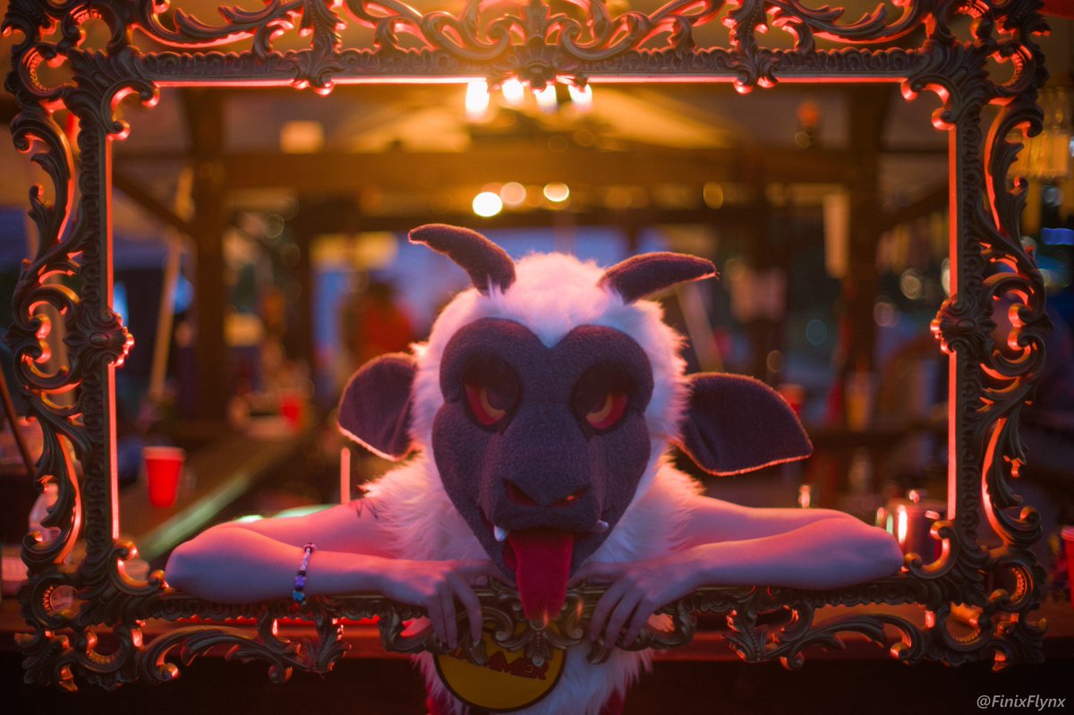 FinixFlynx's tweet image. I will be offering my #fursuit photography services at @FurFest!!

Prices start at $100 (once photos are edited)

Feel free to message me here, on bluesky, or on telegram for extra details!!

#MFF #MFF2025