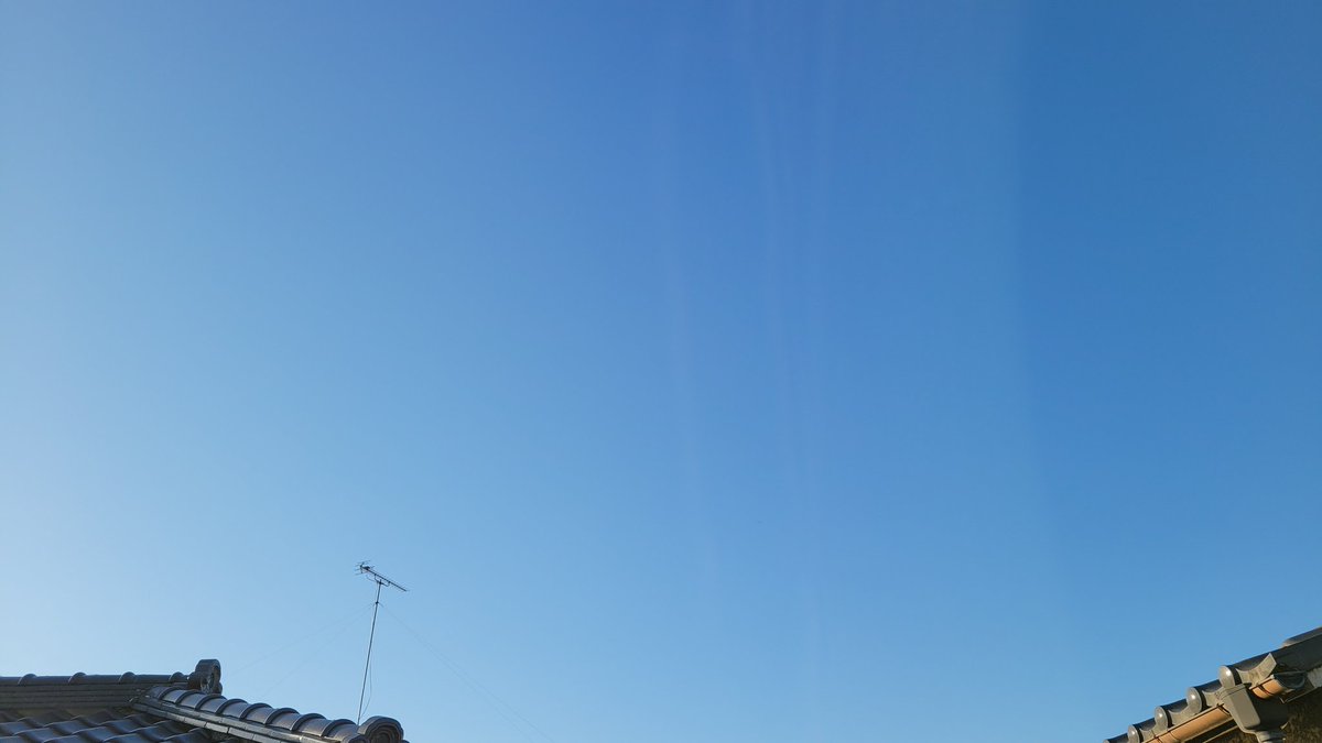 めるめるめー (@melmelmelme3) / Posts / X