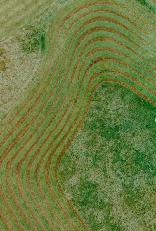 REPOST: e.m.images_

Farm photo Friday.

The green green grass of home.

How wonderful to see everyone in the community out in the paddocks, cutting silage and hay. It’s a funny thing but it seems that the harder a farmer works, the happier they seem to be.

#harvest #harvest25