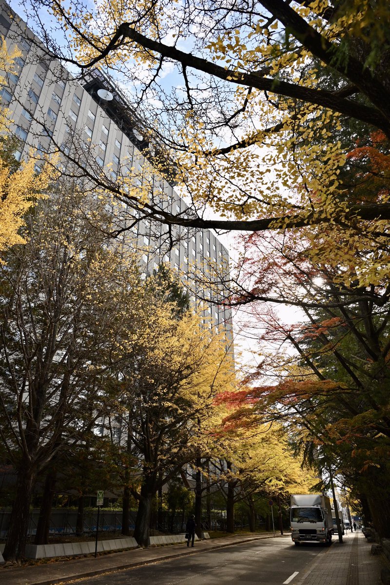 風景写真 Community on X - 7.0K Members